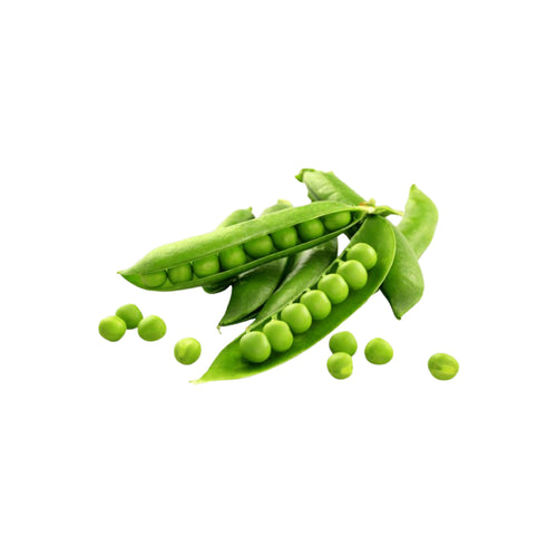 Buy Pakistani Green Peas, Buy Green peas, A basket of fresh green peas, Pakistani Green Peas for sale